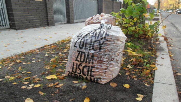 worek z liśćmi fot. ZDM