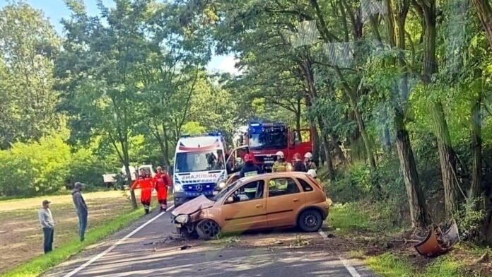 wypadek Grzybno fot. OSP Żabno