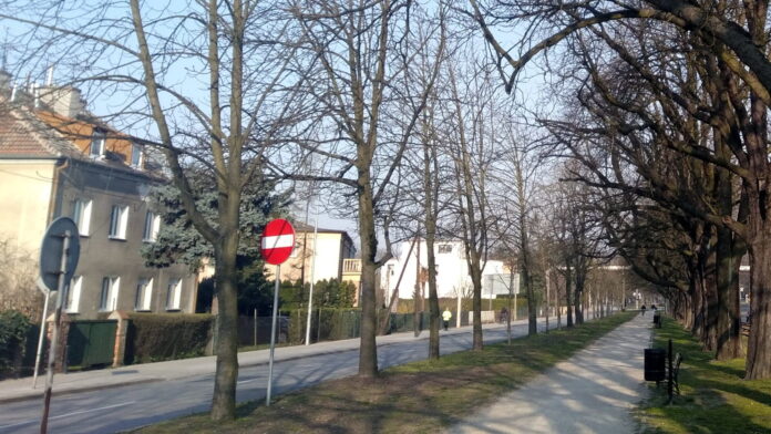 Al. Wielkopolska fot. L. Łada