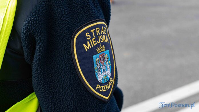 Straż Miejska fot. Sławek Wąchała