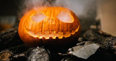 Halloween fot. brenkee, pixabay