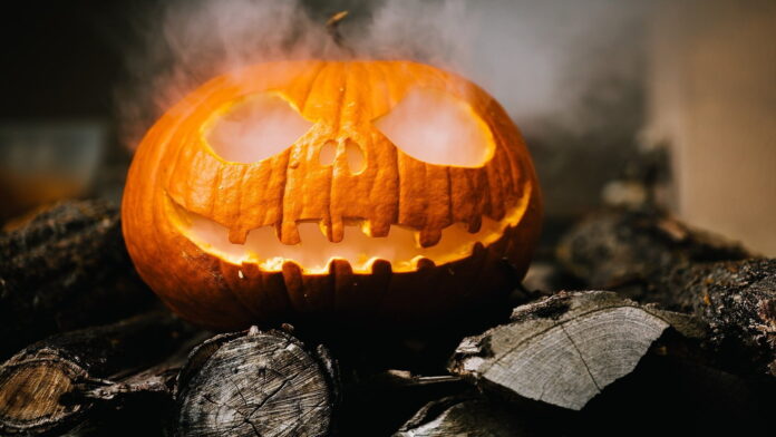 Halloween fot. brenkee, pixabay