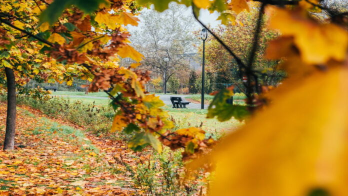 park im. T. Kirschke fot. ZZM