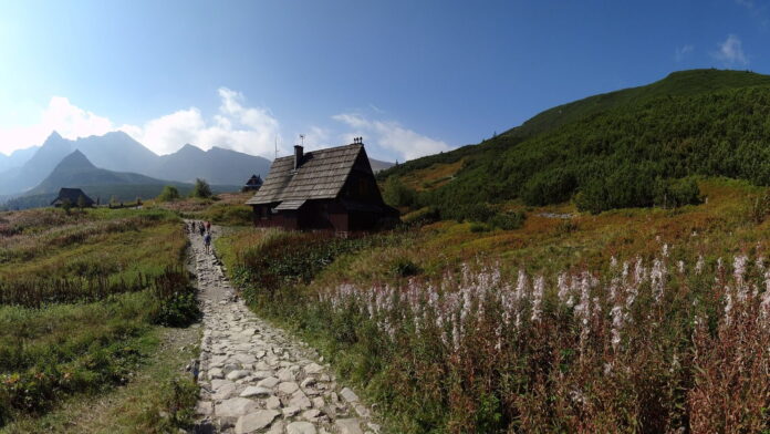 Tatry fot. DzidekLasek, pixabay