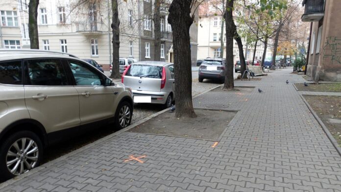 Karwowskiego, Łazarz, nowe nasadzenia fot. ZDM
