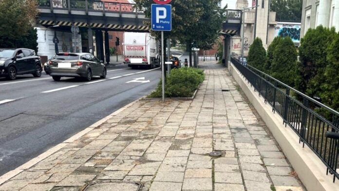 Libelta fot. ZDM