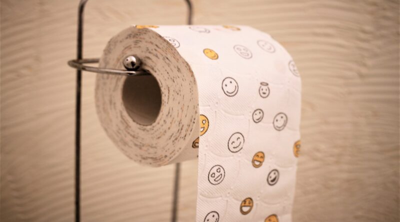 papier toaletowy fot. Carola68, pixabay