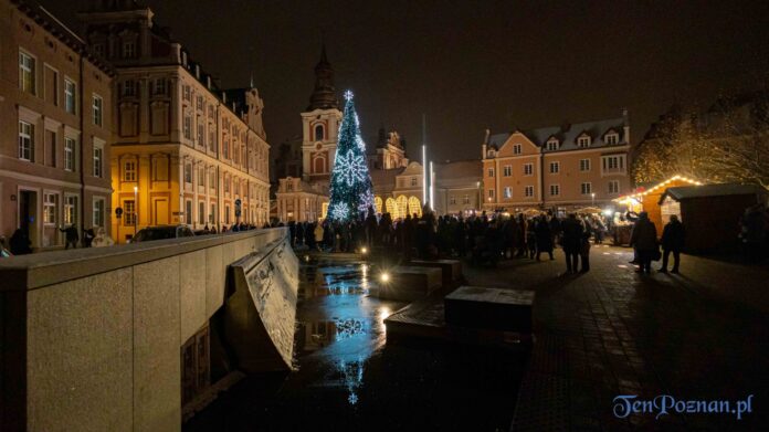 Choinka Plac Kolegiacki fot. Sławek Wąchała