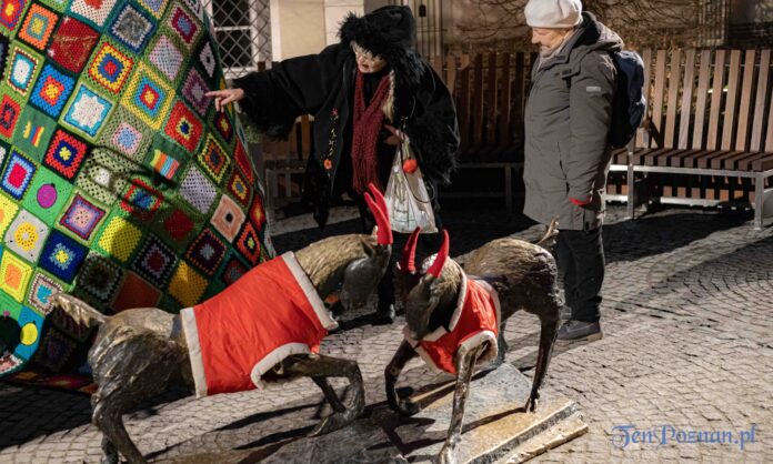 Choinka sztrykowana na Placu Kolegiackim fot. Sławek Wąchała