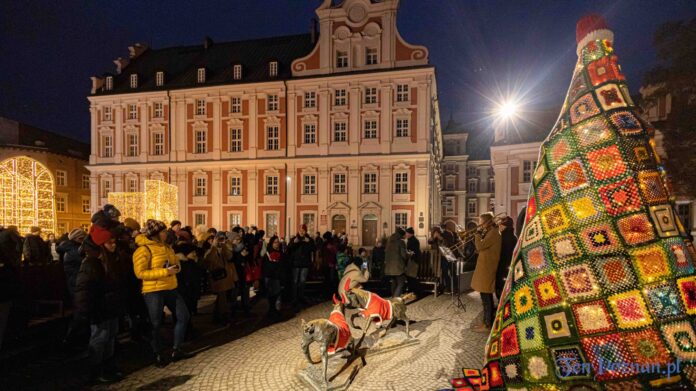 Choinka sztrykowana na Placu Kolegiackim fot. Sławek Wąchała