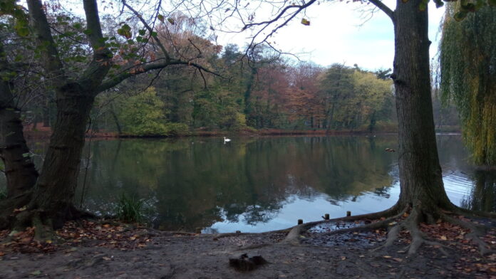 park Sołacki fot. L. Łada