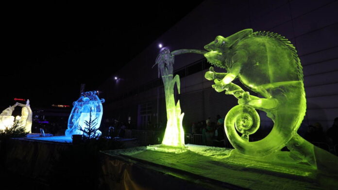 Poznan Ice Festival fot. S. Wąchała