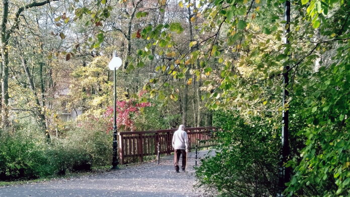 park Sołacki fot. L. Łada