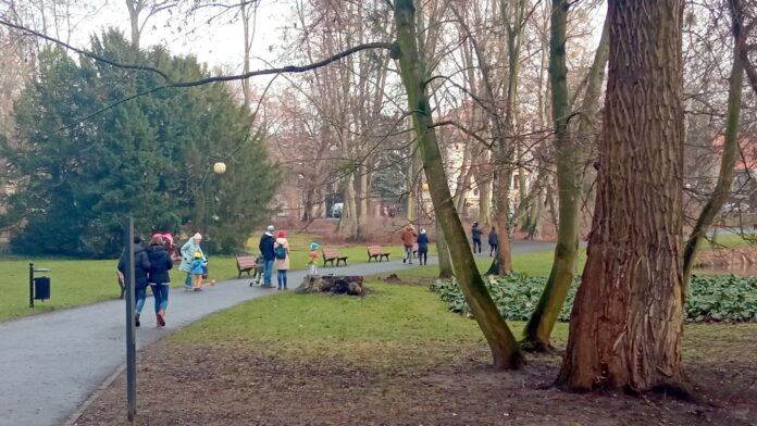 park Sołacki, spacerowicze fot. L. Łada