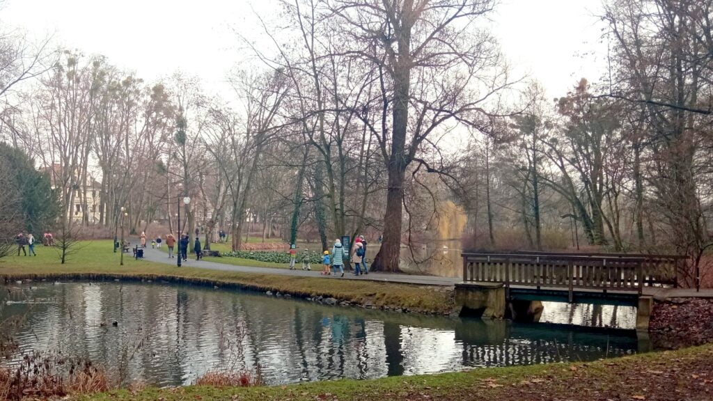 park Sołacki, spacerowicze fot. L. Łada