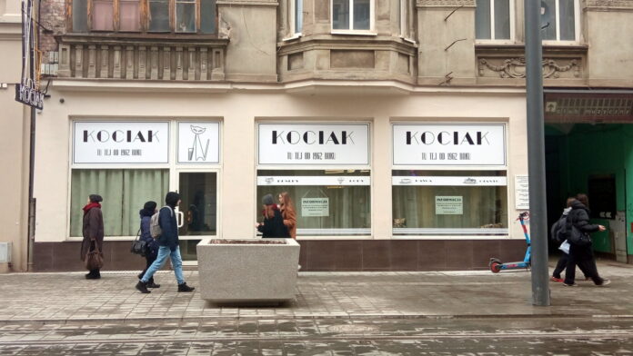 Kociak fot. L. Łada
