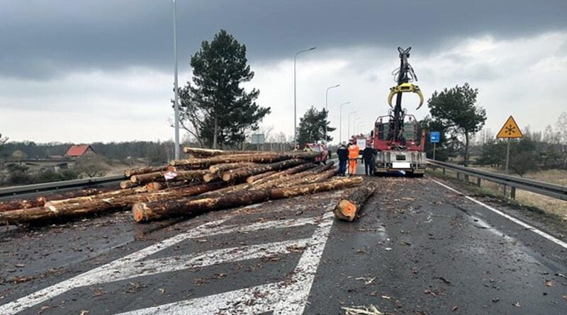 rozrzucone drewno na DK11 fot. policja środa Wlkp.