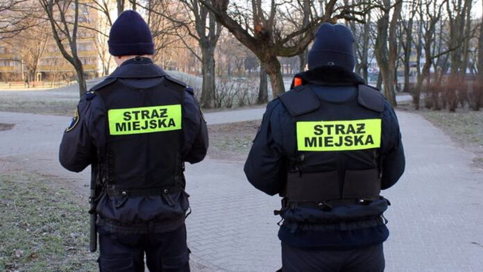 strażnicy miejscy, zdjęcie ilustracyjne fot. SMMP