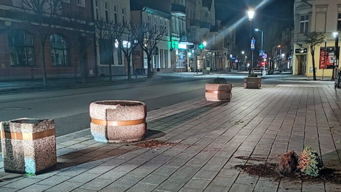 zniszczone rośliny fot. SM Września