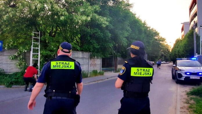 strażnicy miejscy i pszczoły fot. SMMP