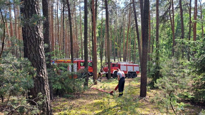 pożar fot. OSP Włoszakowice