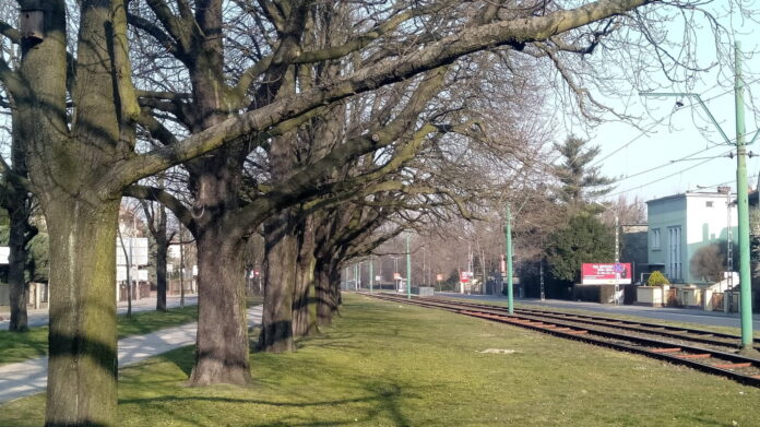 Al. Wielkopolska fot.L. Łada