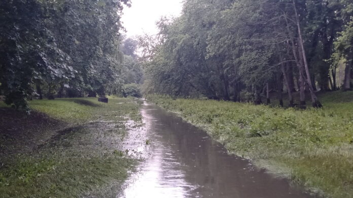 Bogdanka fot. L. Łada