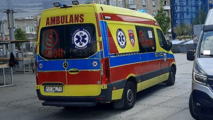 interwencja straży miejskiej fot. SMMP