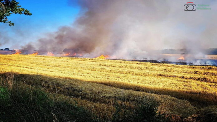 pożar fot. OSP Gułtowy