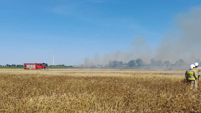 pożar fot. OSP Niechanowo