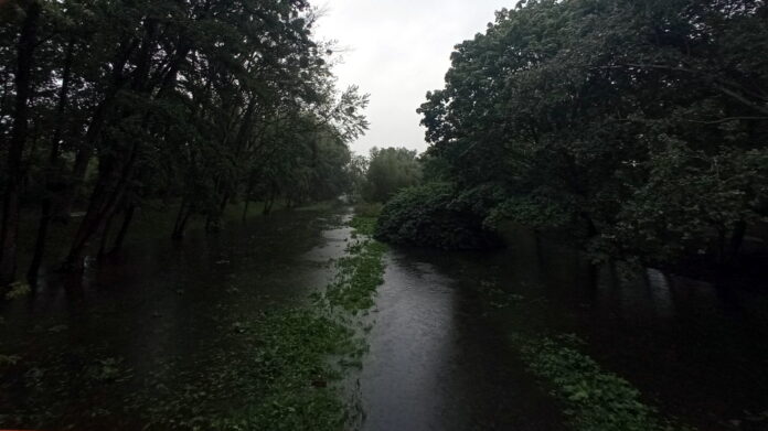 Bogdanka fot. L. Łada