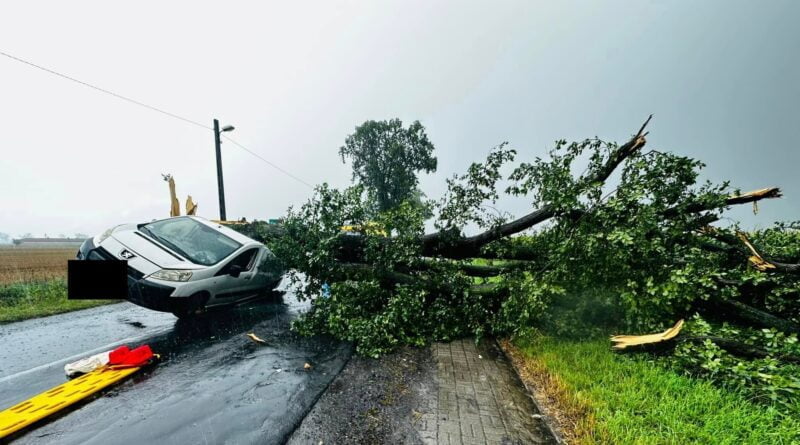 drzewo przygniotło samochód fot. OSP Kleszczewo