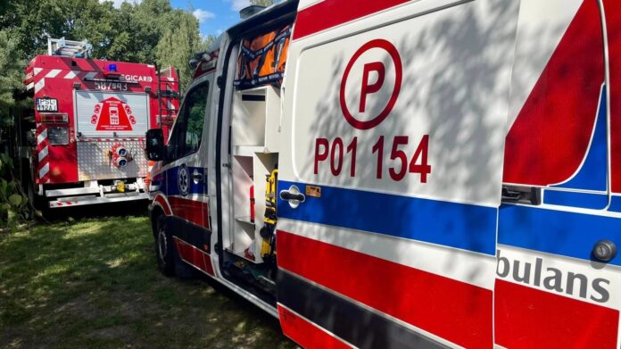 interwencja, szerszenie fot. OSP Kosewo
