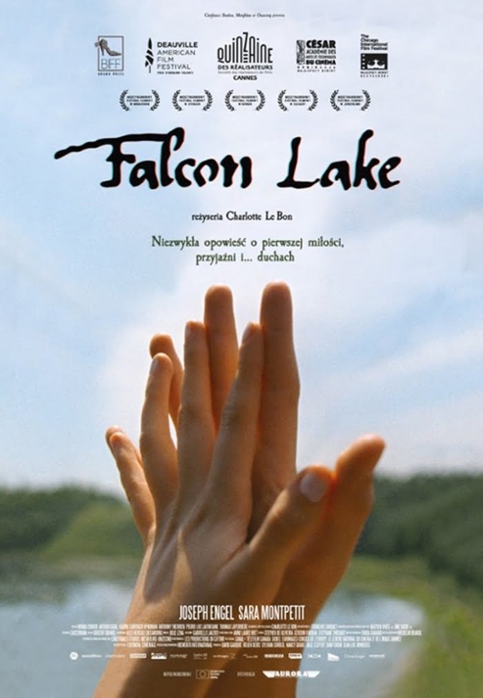Falcon Lake (520584)