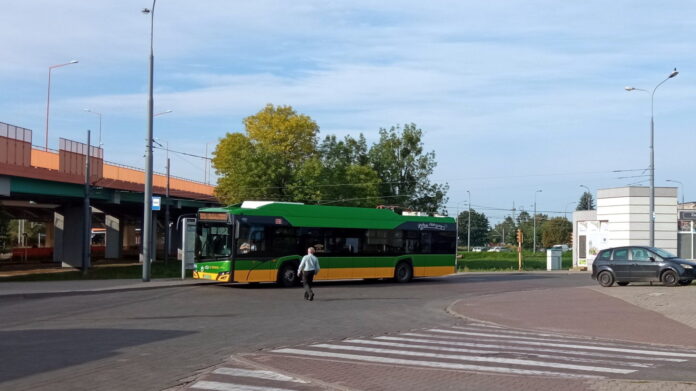 pętla, Górczyn fot. L. Łada