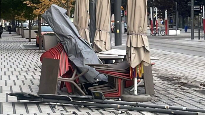 zniszczony ogródek fot. restauracja grono