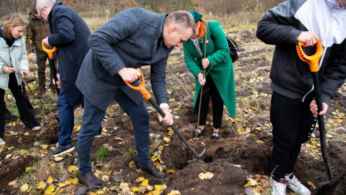 las Pawła Edmunda Strzeleckiego fot. UMP