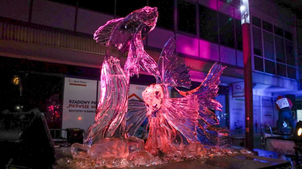 Poznań Ice Festival 2023 fot. S. Wąchała