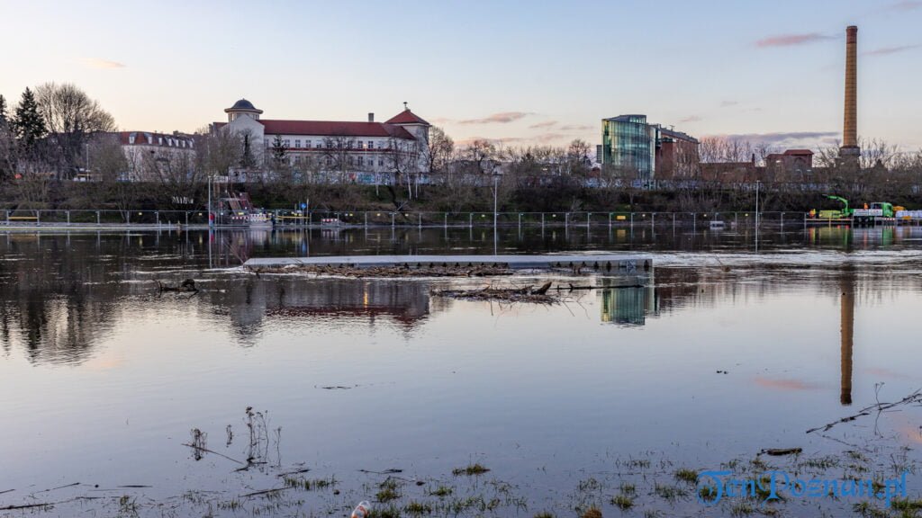 Poziom rzeki mocno się podniósł. Tak wygląda teraz Warta w Poznaniu (ZDJĘCIA)