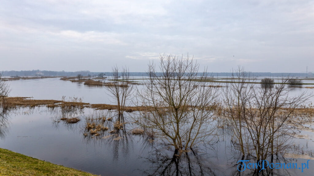 Sytuacja hydrologiczna w Wielkopolsce: wysoki poziom Warty, ostrzeżenie dla Kanału Mosińskiego