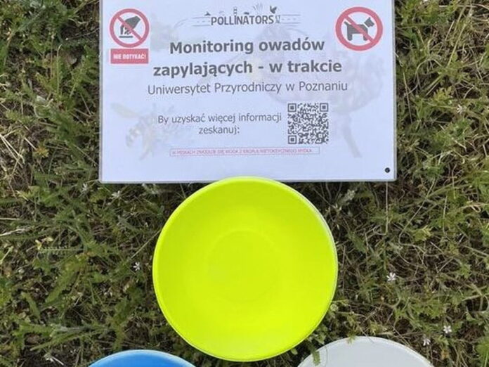 Akcja Uniwersytetu Fot. UP