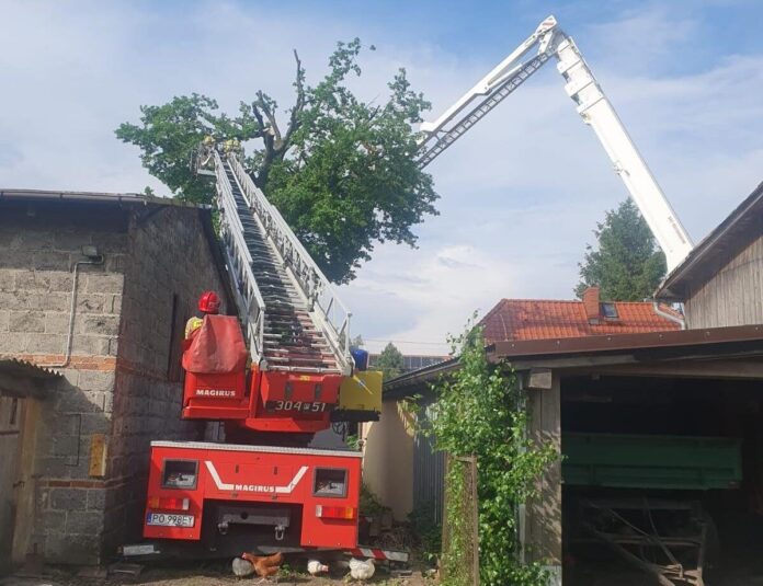 Interwencja Po Burzy Fot. Asp. Krzysztof Minakow St. Str. Robert Martenka