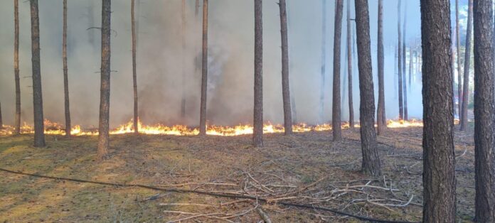 Pozar Fot. Archiwum KP PSP Nowy Tomysl