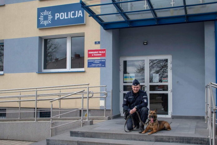 Praca Z Psami W Policji Fot. Policja