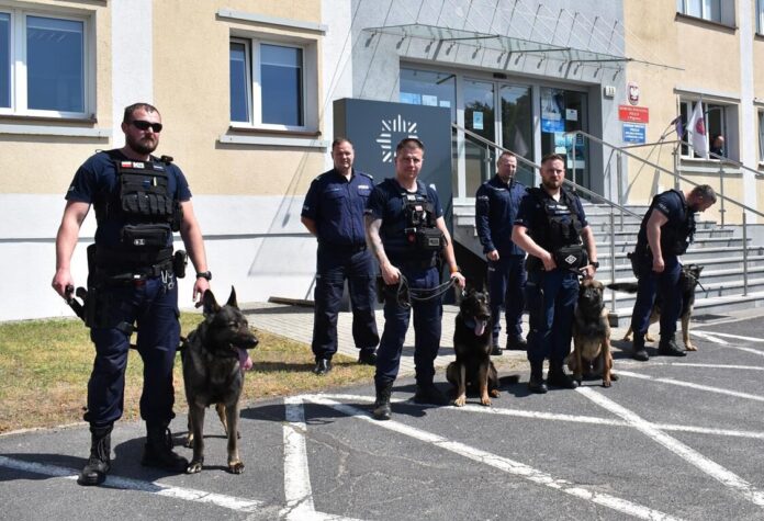 Szkolenie Psow Policyjnych Fot. Policja