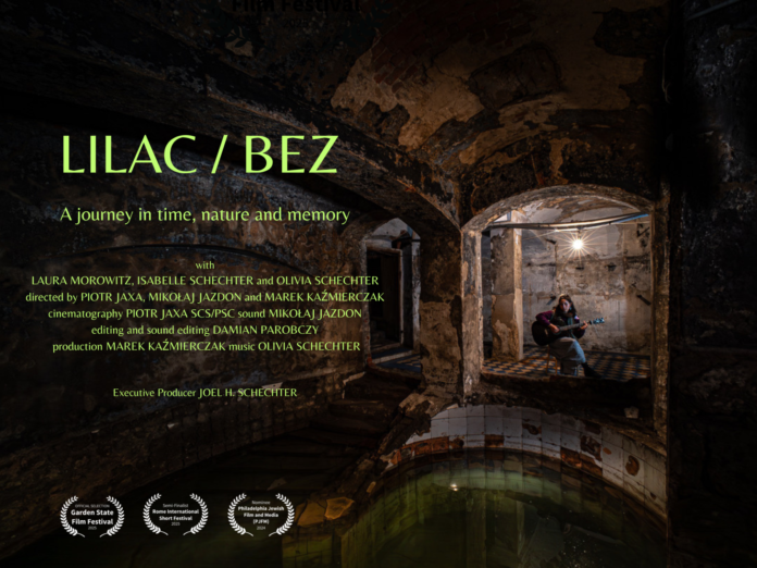 Lilac Bez Fot. Uam