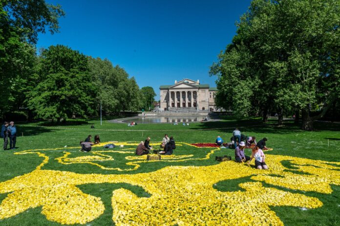 Tulipany Fot. UMP