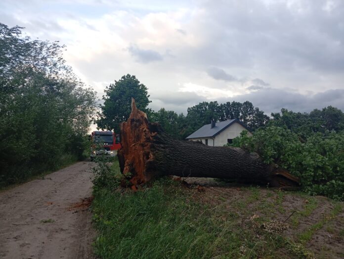 Skutki Burzy Fot. OSP Zbaszyn OSP Urbanowo OSP Boruja Koscielna