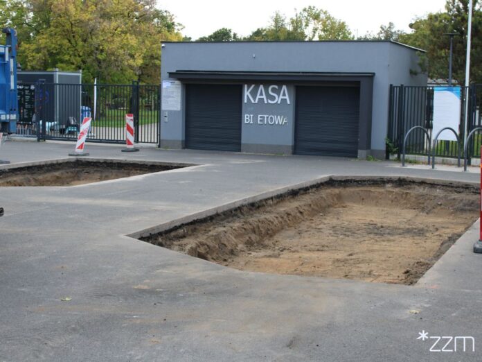 Nowe Drzewa W Parku Jana Kasprowicza